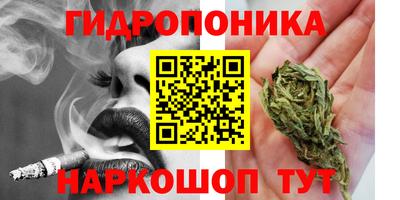 гидропоника Обь