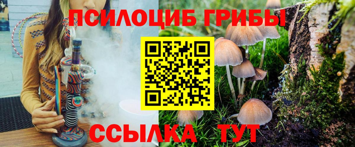 Псилоцибиновые грибы Magic Shrooms  Вход с VPN  Орехово-Зуево 