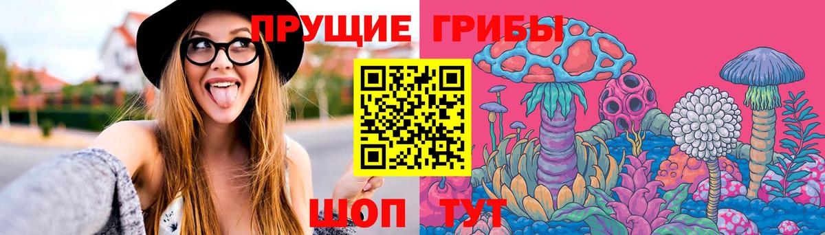 Псилоцибиновые грибы прущие грибы Орехово-Зуево